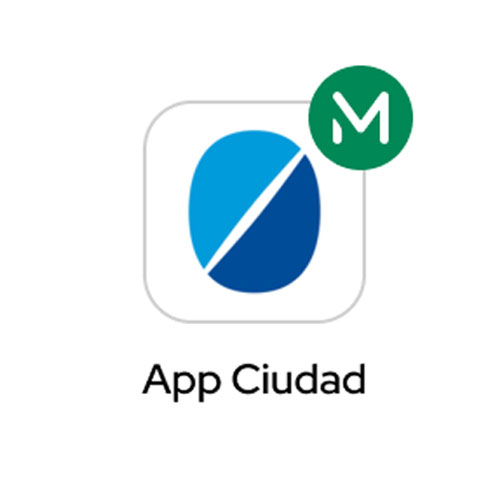 Logo Ciudad